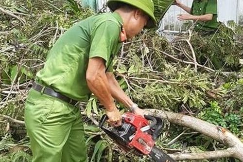 Công an các phường ở TP Huế nỗ lực dọn cây xanh gãy đổ sau bão