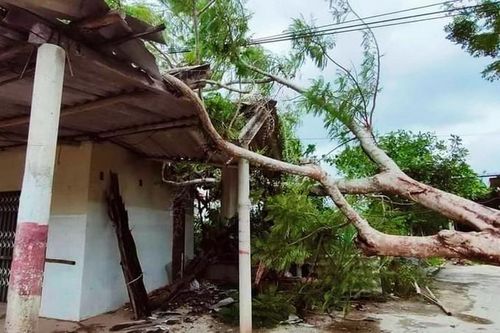Phó Thủ tướng: Hỗ trợ lương thực, không để dân thiếu đói sau bão số 5