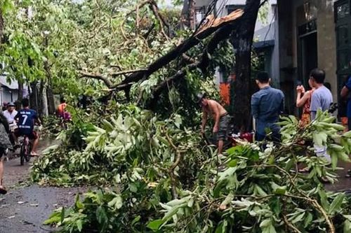 Bão số 5 tàn phá 22.000 ngôi nhà, làm 3 người tử vong