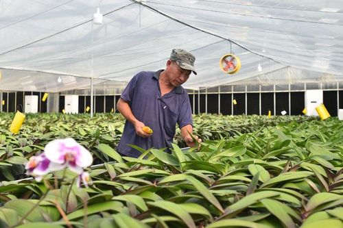 Nông nghiệp 4.0 - tương lai của công nghệ canh tác