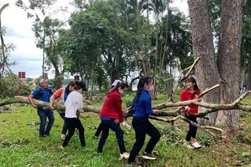 Dọn dẹp cây xanh gãy đổ 'giải cứu' đường phố Huế sau bão số 5