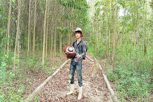Bỏ vốn 300 nghìn đồng, chàng trai có chục triệu mỗi tháng