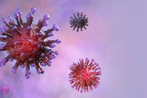 Virus SARS-CoV-2 có độ đàn hồi vật lý đáng kinh ngạc