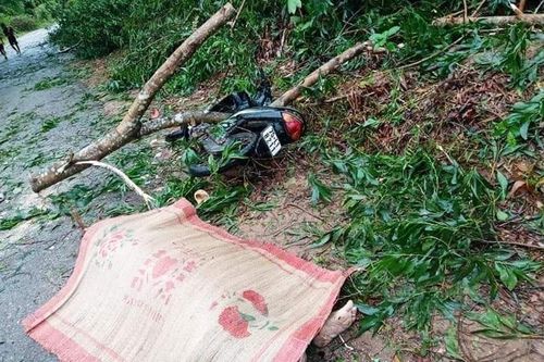 TT-Huế có thêm 2 trường hợp tử vong do bão số 5, gần 100 trường hợp bị thương