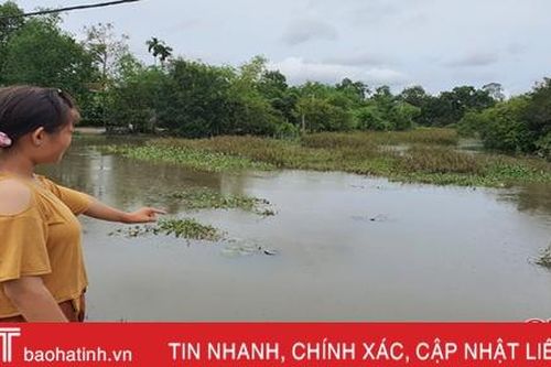Anh bảo vệ nhảy xuống sông cứu bé trai 2 tuổi thoát khỏi miệng 'hà bá'