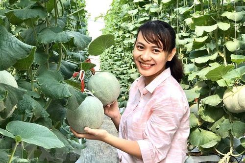 Nuôi dưỡng niềm đam mê khởi nghiệp của sinh viên Việt Nam