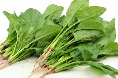 4 loại rau họ cải giúp trẻ hấp thụ canxi tốt hơn sữa tươi