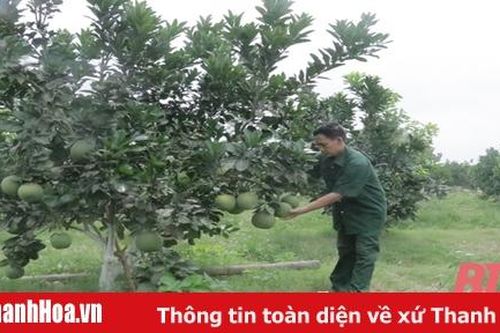 Hiệu quả mô hình kinh tế hộ