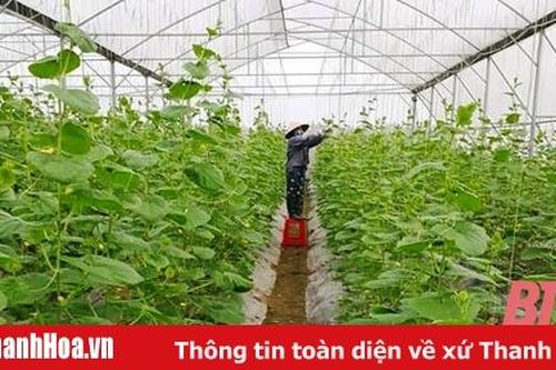 Giúp nông dân ứng dụng công nghệ mới