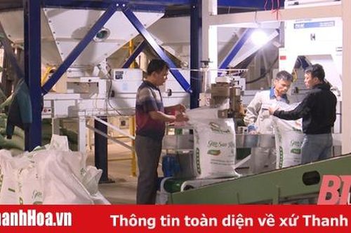Công ty CP Thương mại Sao Khuê đồng hành cùng nhà nông