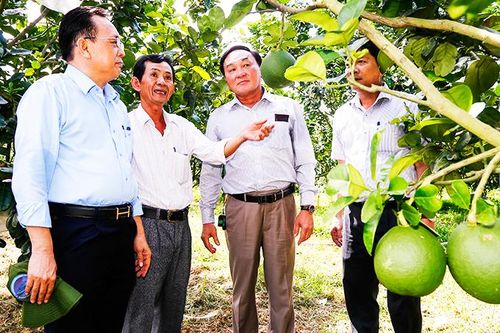 Công nhận 18 sản phẩm OCOP