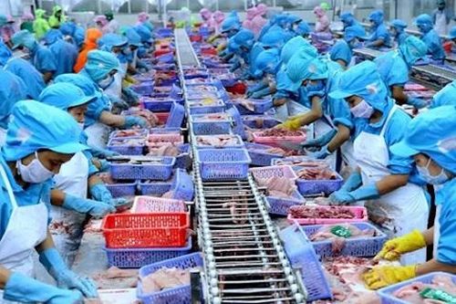 Thực thi EVFTA: 'Bệ phóng' cho thủy sản cất cánh vào EU