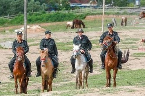 Những 'chiến sĩ 4 chân' trung thành