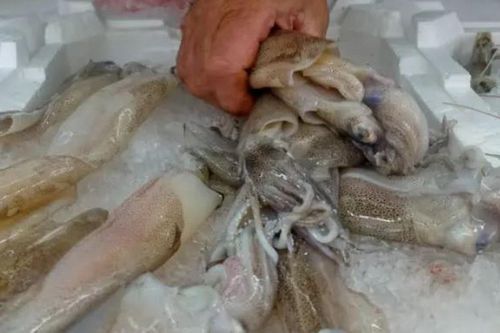 Phát hiện virus SARS-CoV-2 trên bao bì mực nhập khẩu vào Trung Quốc