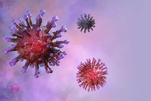 Trung Quốc phát hiện virus corona trên gói mực nhập khẩu