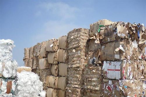 Buộc tái xuất 1.100 container phế liệu nhập về từ năm 2018