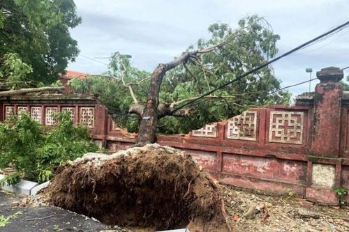 Tường rào của trường Quốc Học Huế bị sập sau bão