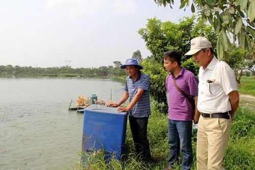 Hiệu quả từ nuôi trồng thủy sản công nghệ cao