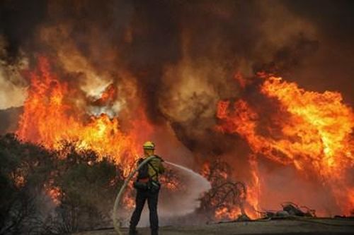 Hàng trăm công ty hàng đầu thế giới kêu gọi chống biến đổi khí hậu
