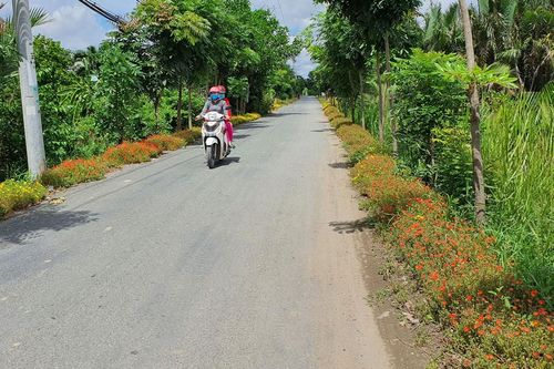 Cảnh sắc mới ở Đa Phước