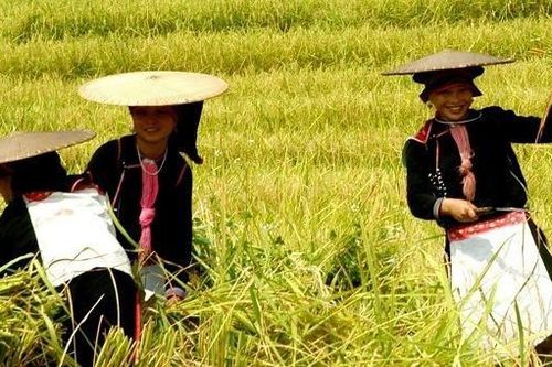 Người Việt đi du lịch Việt