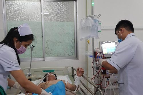 Người đàn ông hôn mê, nguy kịch sau khi ăn bao tử cá mặt thỏ