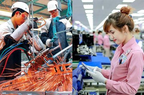 Sức hút thương hiệu Việt Nam và chuyện tự tin 'dám chơi' với thế giới