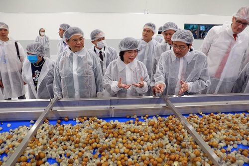Nhà máy chế biến hoa quả tươi và thảo dược Vân Hồ (Sơn La) của tập đoàn TH đi vào hoạt động