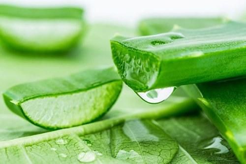 Những loại thực phẩm có thể gây sảy thai mẹ nào cũng cần biết