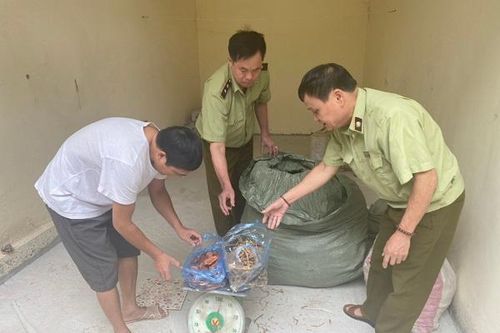 Lạng Sơn: Xử lý hàng trăm kg thuốc bắc, nguyên liệu thuốc bắc không rõ nguồn gốc