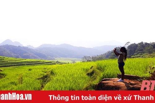 Về Pù Luông ngắm mùa vàng