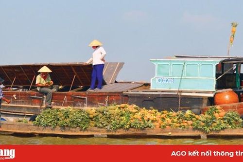 Về An Giang đi chợ nổi