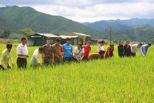 Tập trung đào tạo nghề nông nghiệp cho lao động nông thôn