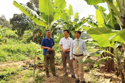Bí thư Chi bộ người Nùng và niềm tin trên miền đất mới