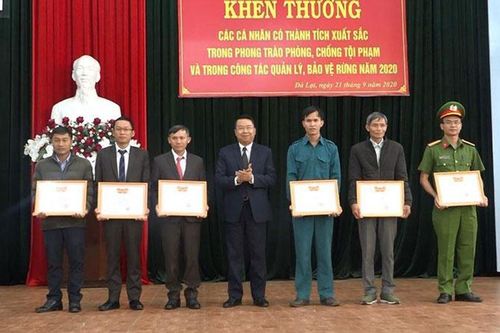 Khen thưởng cá nhân xuất sắc trong phòng chống tội phạm và quản lý, bảo vệ rừng