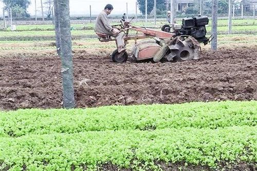 Triệu Phong phấn đấu đạt chuẩn huyện nông thôn mới trước năm 2025