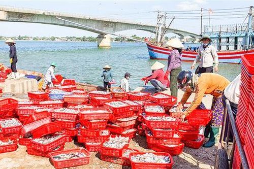 Sản lượng khai thác thủy sản 9 tháng đầu năm đạt gần 24.000 tấn