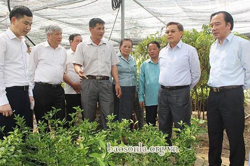 Vun đắp tình đoàn kết hữu nghị đặc biệt Sơn La và các tỉnh Bắc Lào