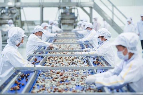 Sơn La: Khánh thành nhà máy chế biến hoa quả tươi 3.500 tỷ
