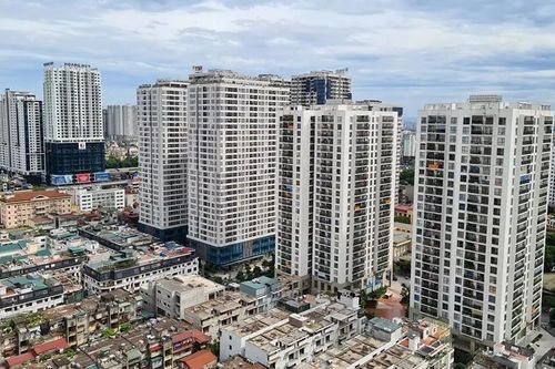Nuôi chó và mèo trong căn hộ chung cư có bị cấm?
