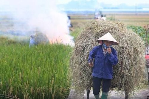 Từ 01/01/2021, Hà Nội không còn hoạt động đốt rơm rạ