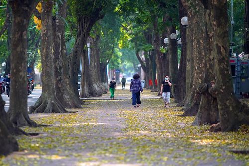 Mùa thu trên những con phố ở Hà Nội