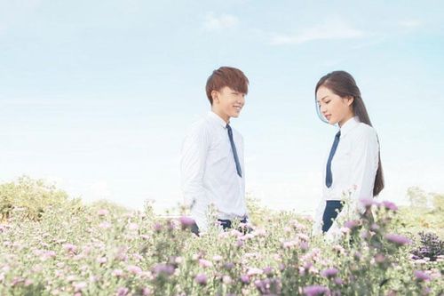 Tìm kịch bản hay cứu điện ảnh Việt