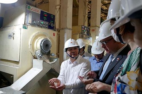 Việt Nam xuất khẩu lô gạo thơm đầu tiên sang châu Âu theo Hiệp định EVFTA