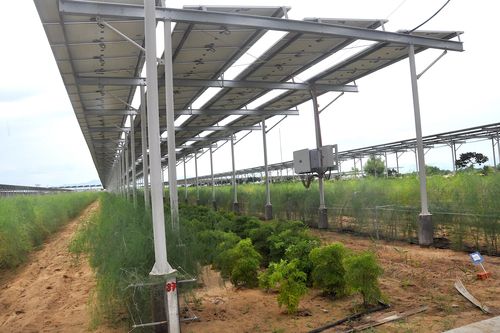 Hàng loạt kiến nghị 'gỡ vướng' cho điện mặt trời mái nhà