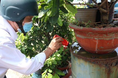 Không để xảy ra dịch chồng dịch