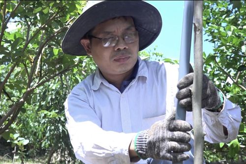 Giảm công sức nhờ thiết bị tưới vườn 4.0