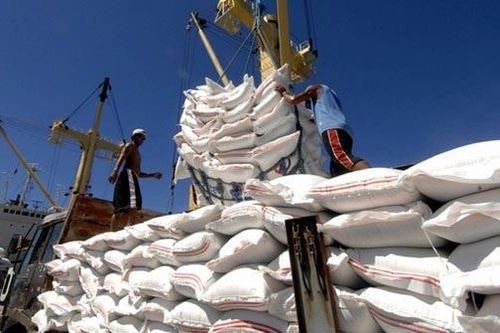 Gạo Việt Nam đẩy mạnh xuất khẩu vào EU những tháng cuối năm nhờ EVFTA