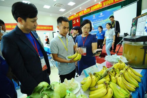 10 dự án khởi nghiệp thanh niên nông thôn xuất sắc nhất khu vực miền Bắc 2020
