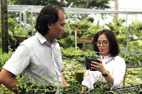 TP Hồ Chí Minh xây dựng nông thôn mới gắn với đô thị hóa nông thôn